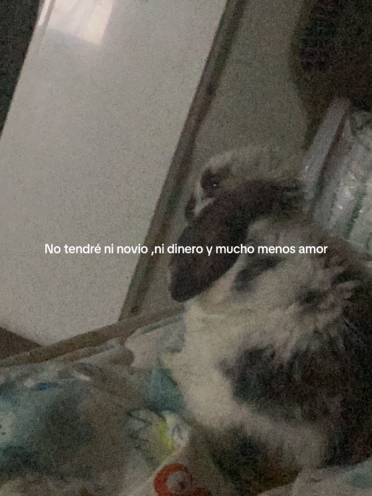 @🐰