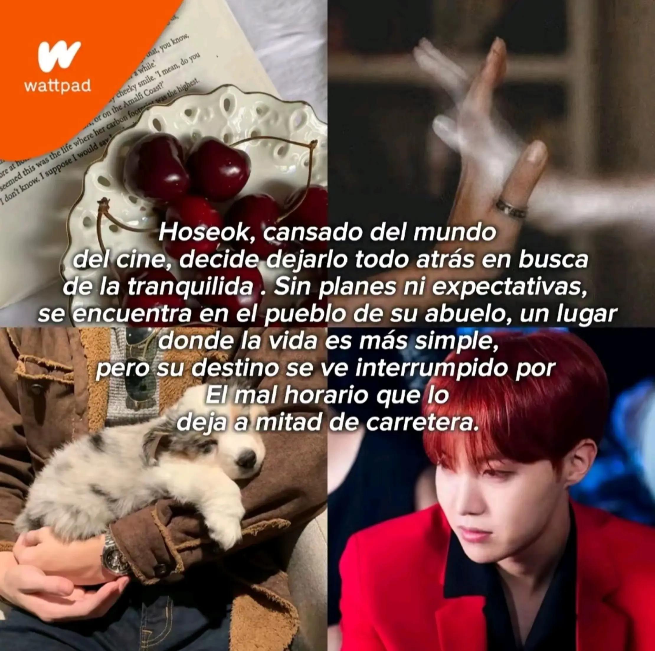 @AllxHoseok