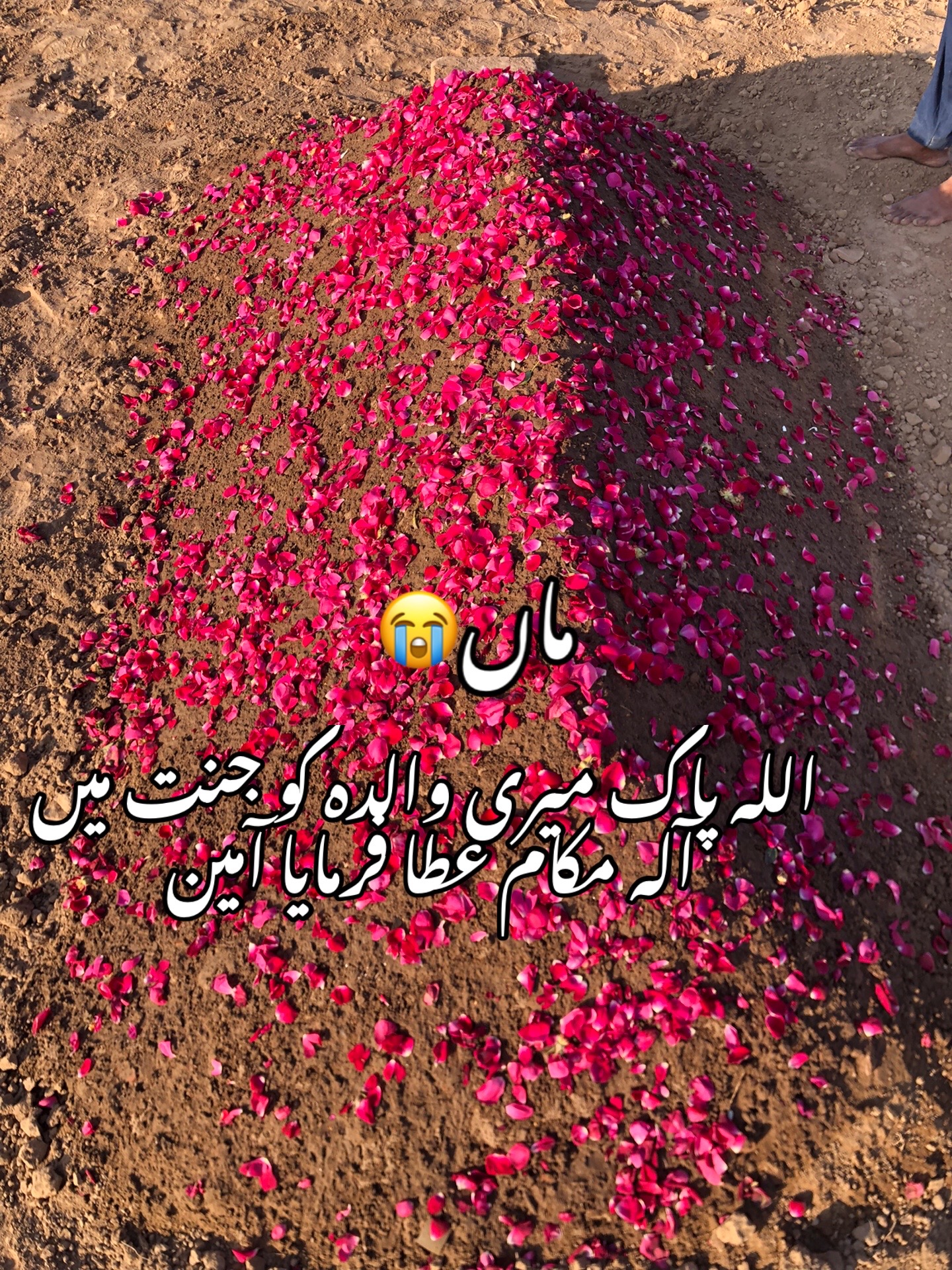 @Mian  islam Dhuddi