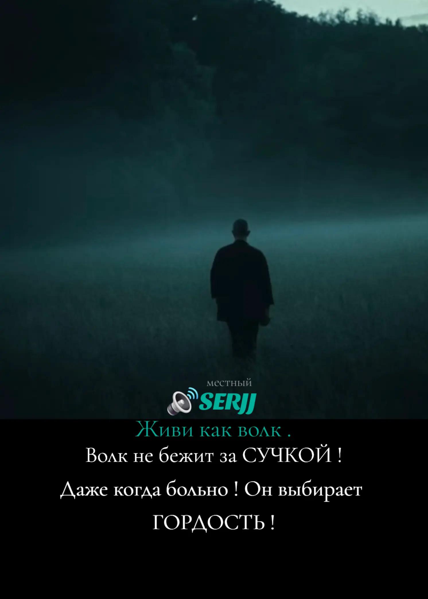 @🕷 🕸 местный 🕸 🕷