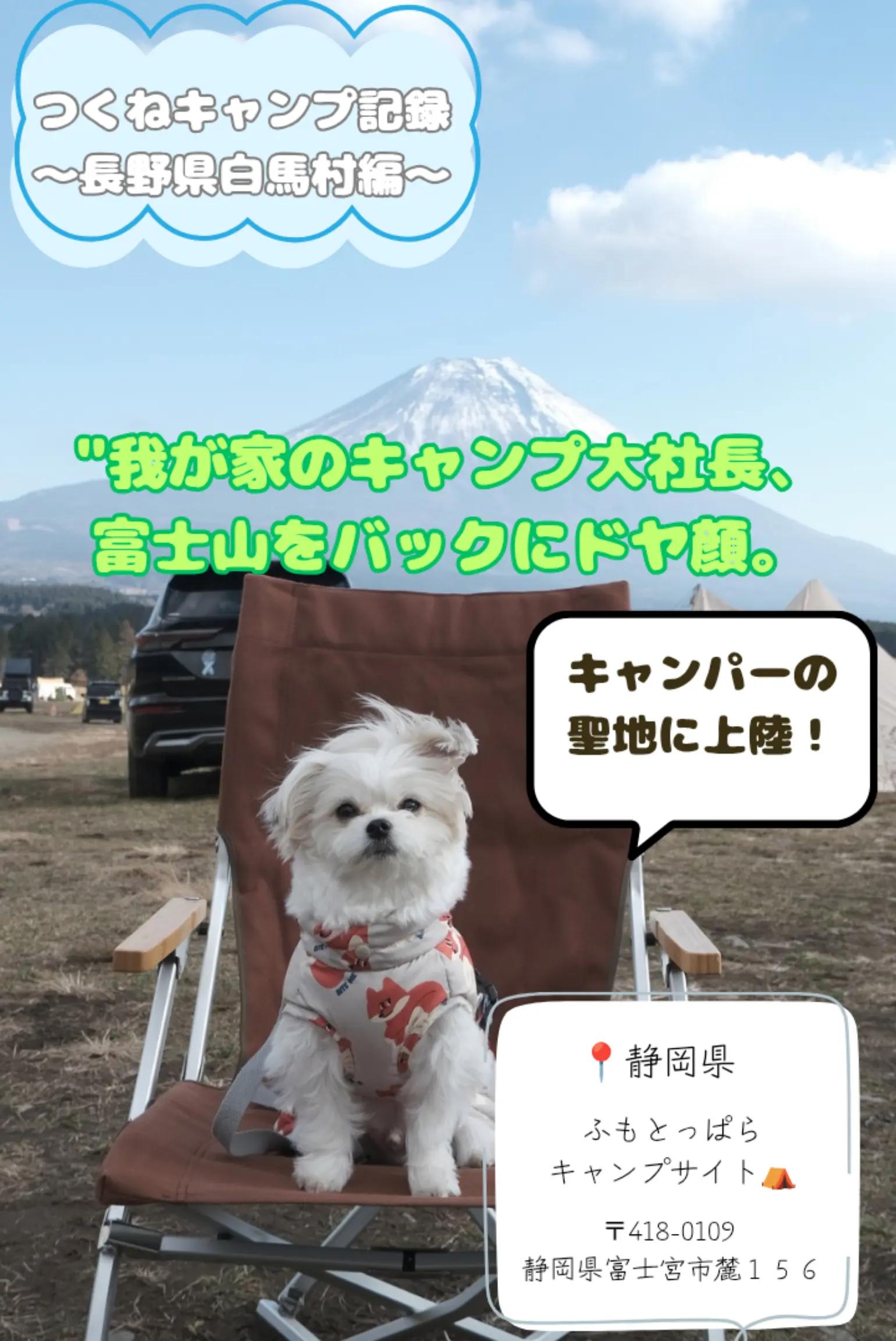 @つくねくん