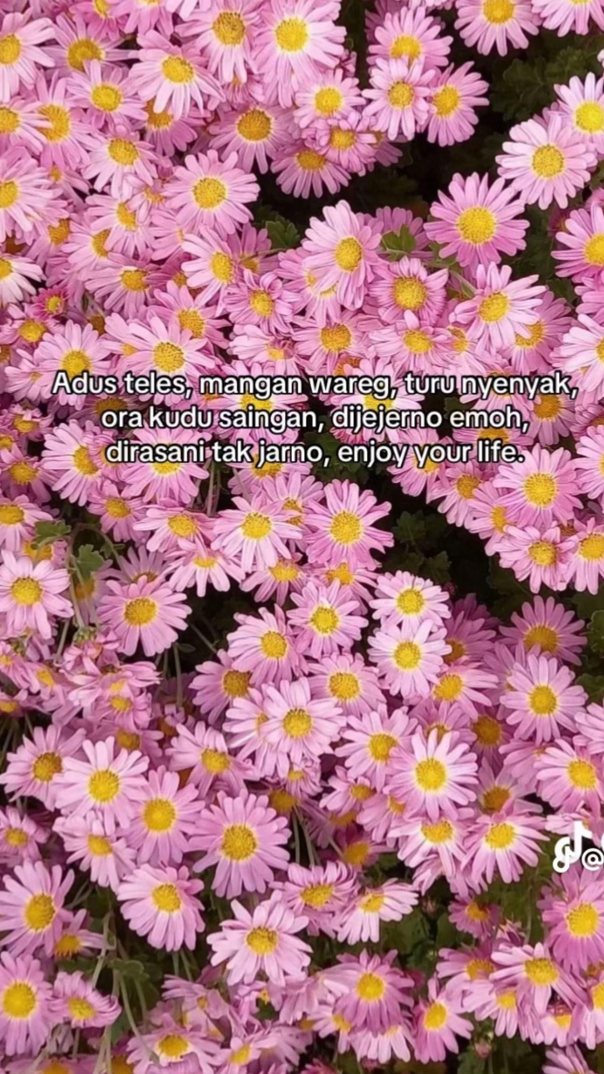 @inayatul_lailia