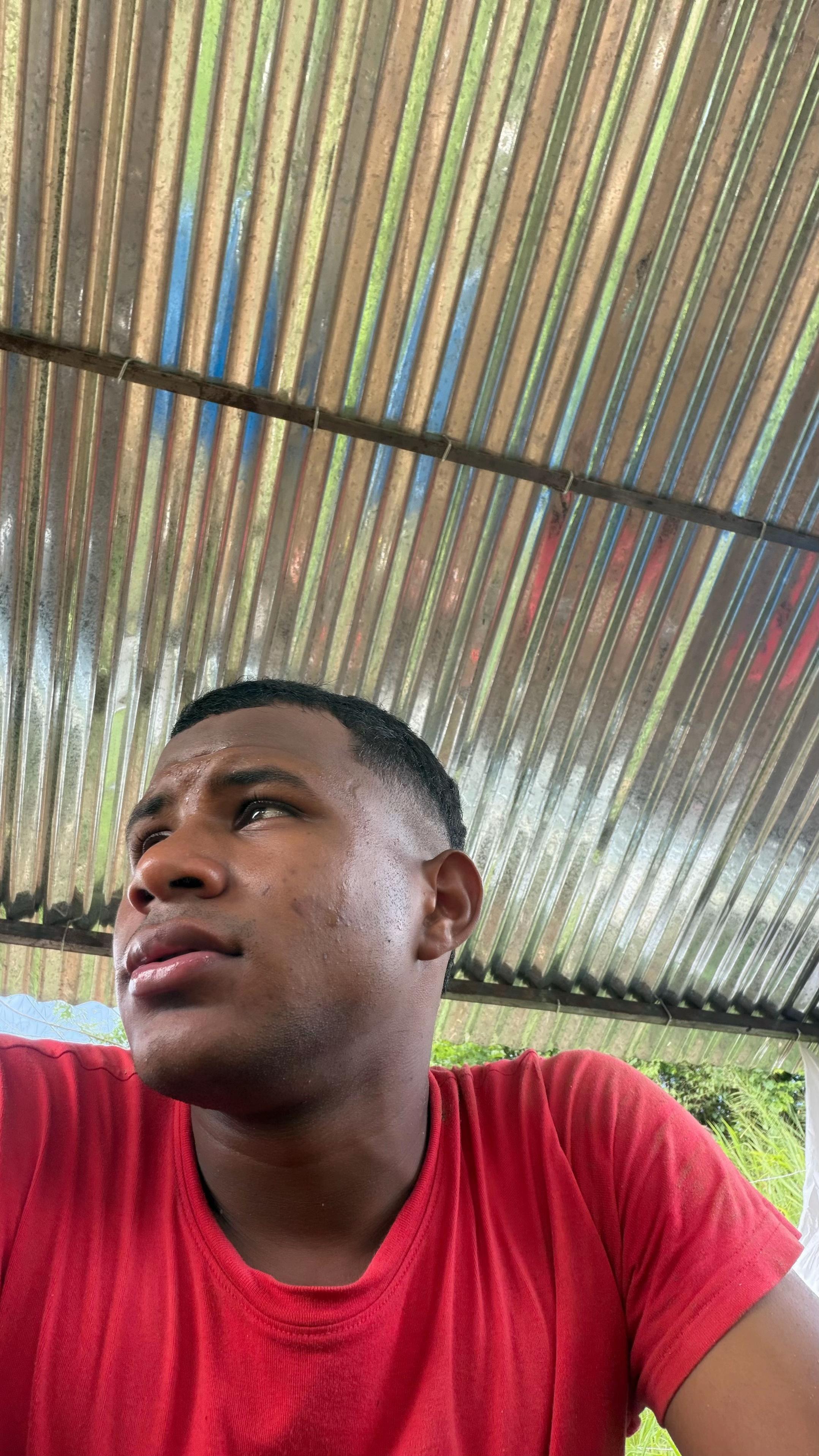 @DAMI&Aacute;N