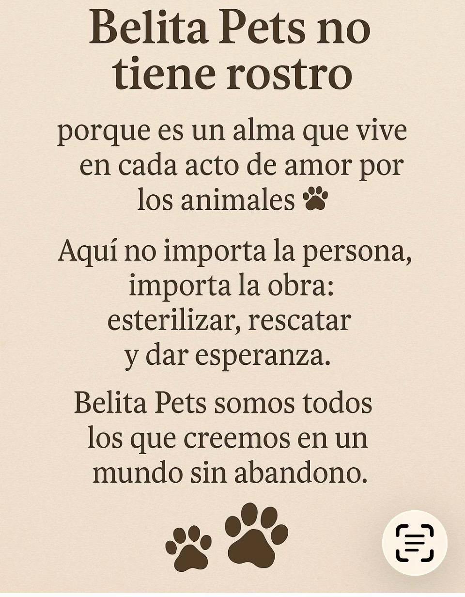 @BelitaPets