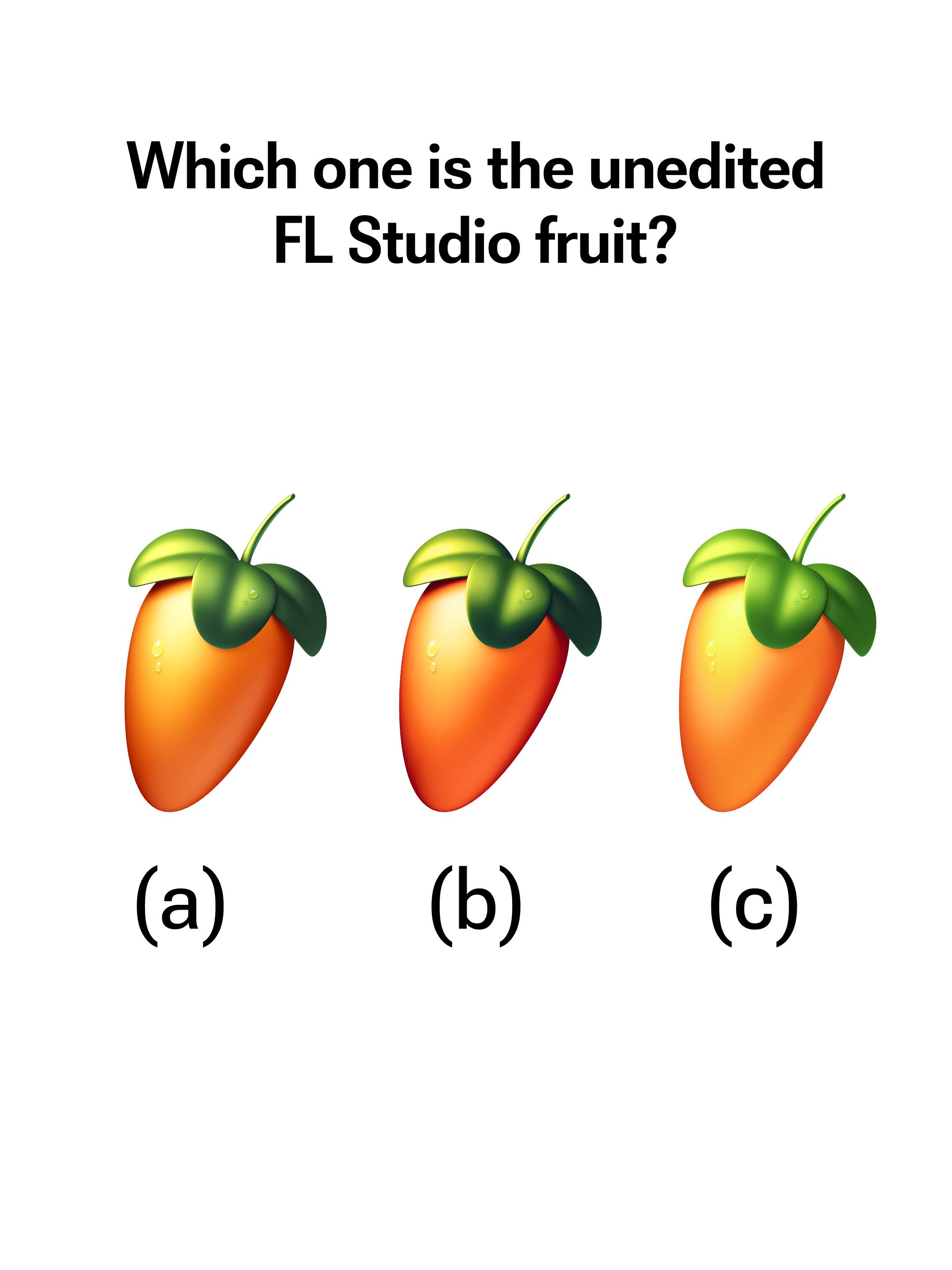 @FL Studio