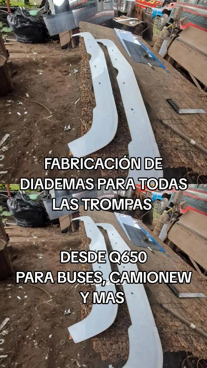 @Buses y Accesorios DG