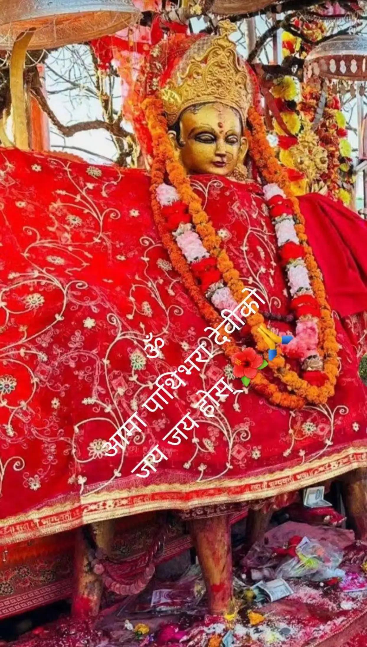 @जय माता पाथीभरा
