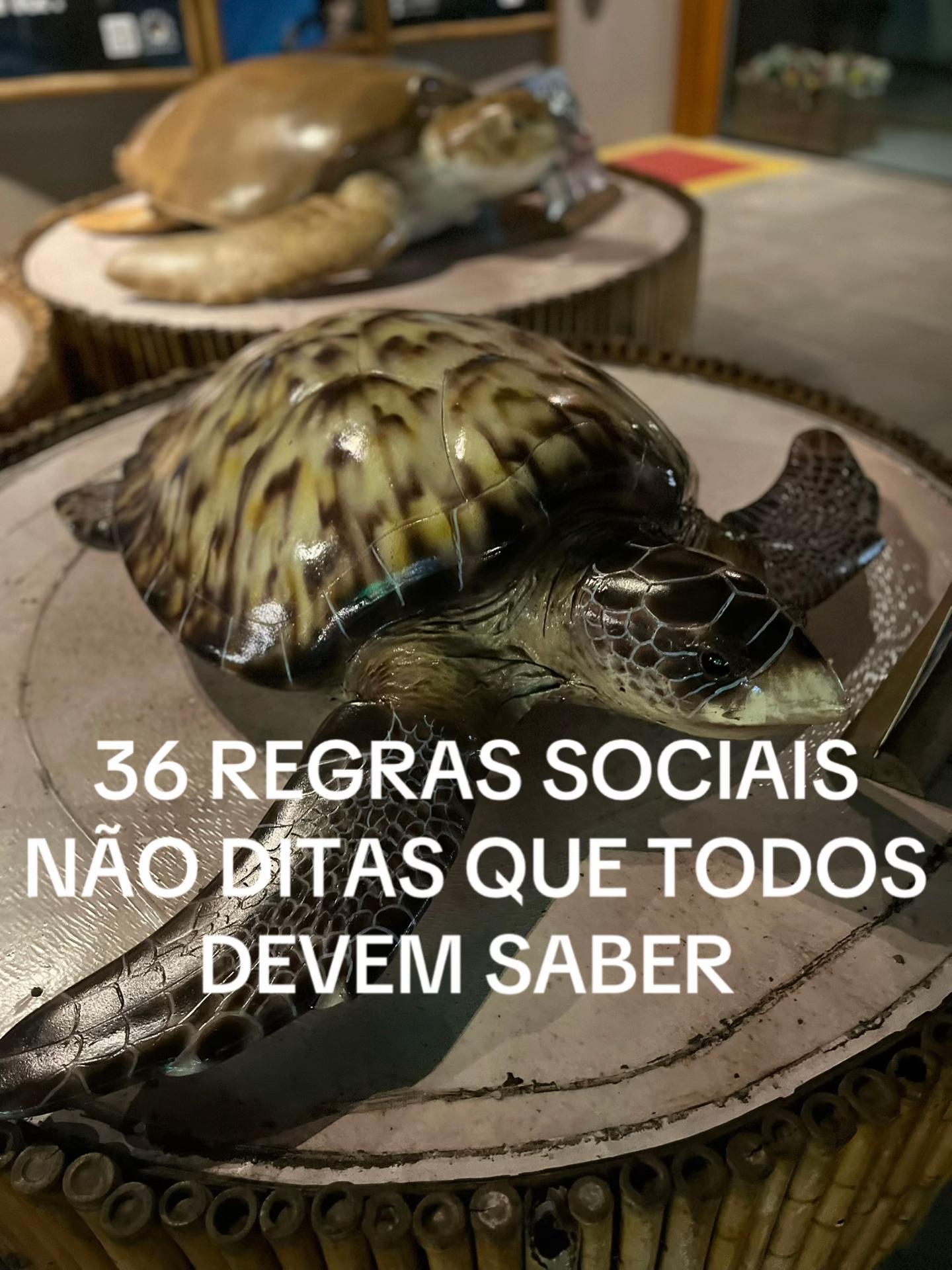 @Erika Oliveira