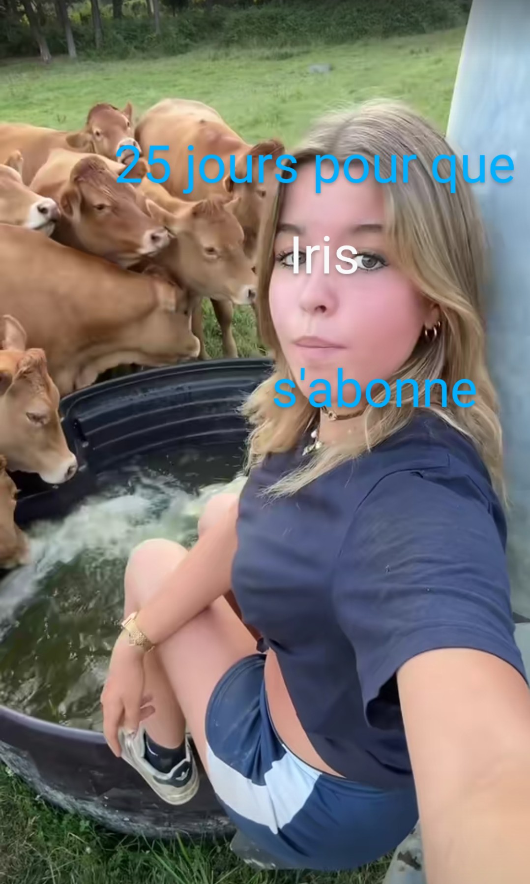 @b,s,f