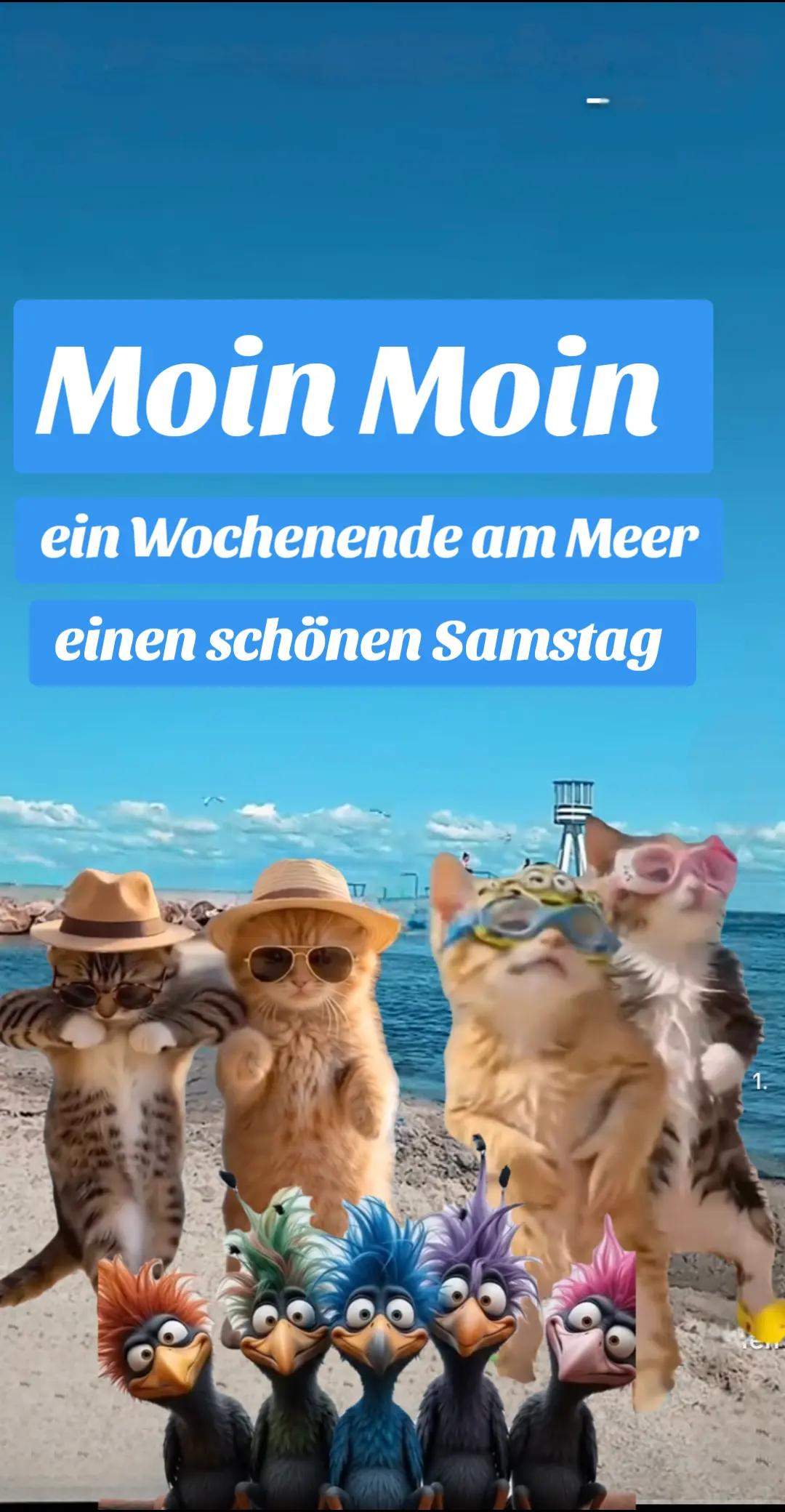 @geistlein12