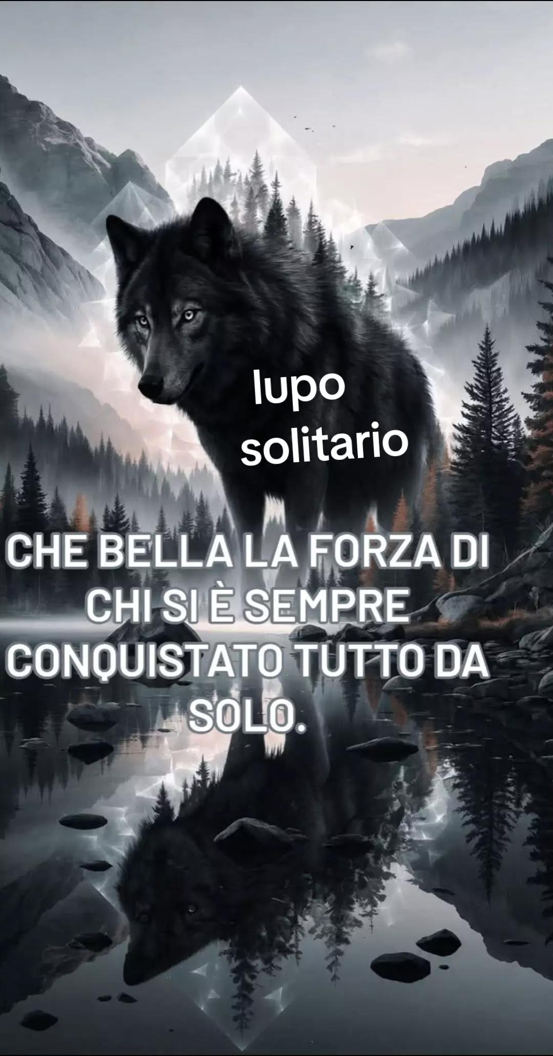 @lupo solitario