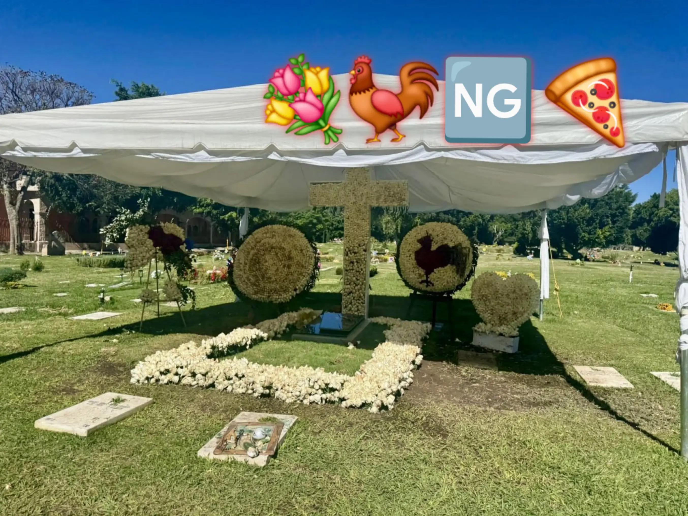 @GDGP๐ฐ๐ฒ๐ฝ.98๐๐๐ฆ๐FEU
