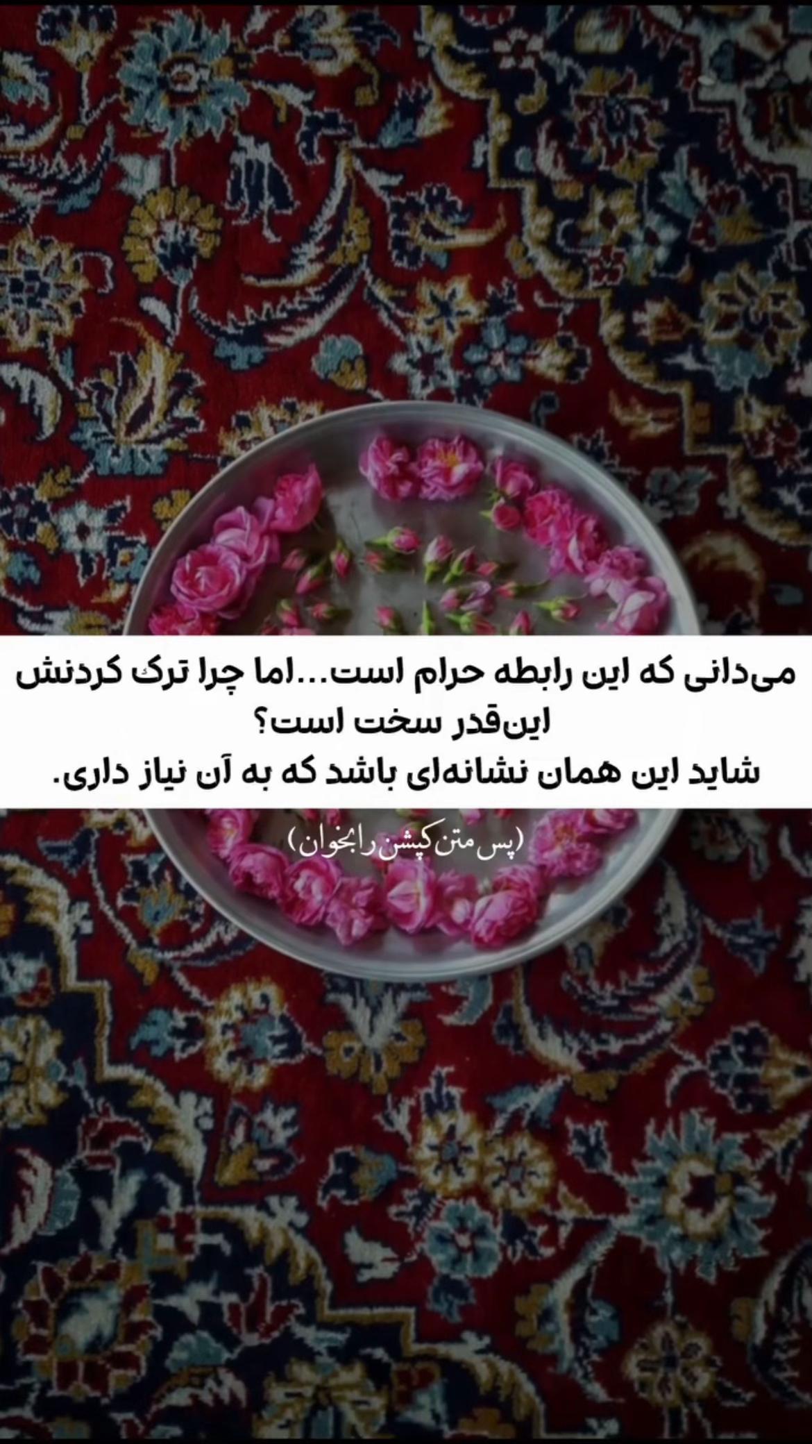 @𓆩ـمدᥫ᭡آحـ𓆪