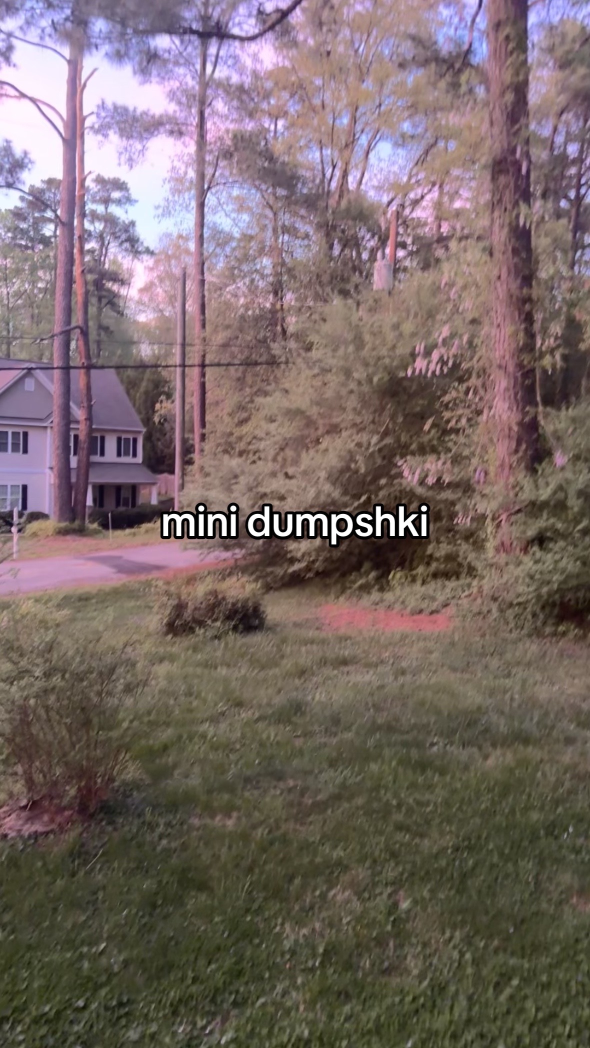 @miley ✚ 𒉭