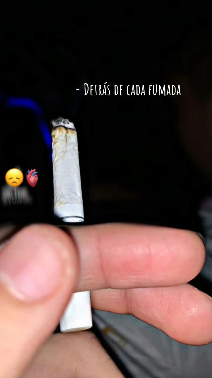 @cesibel