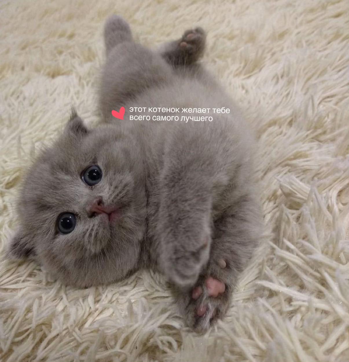 @цитаты/эдиты