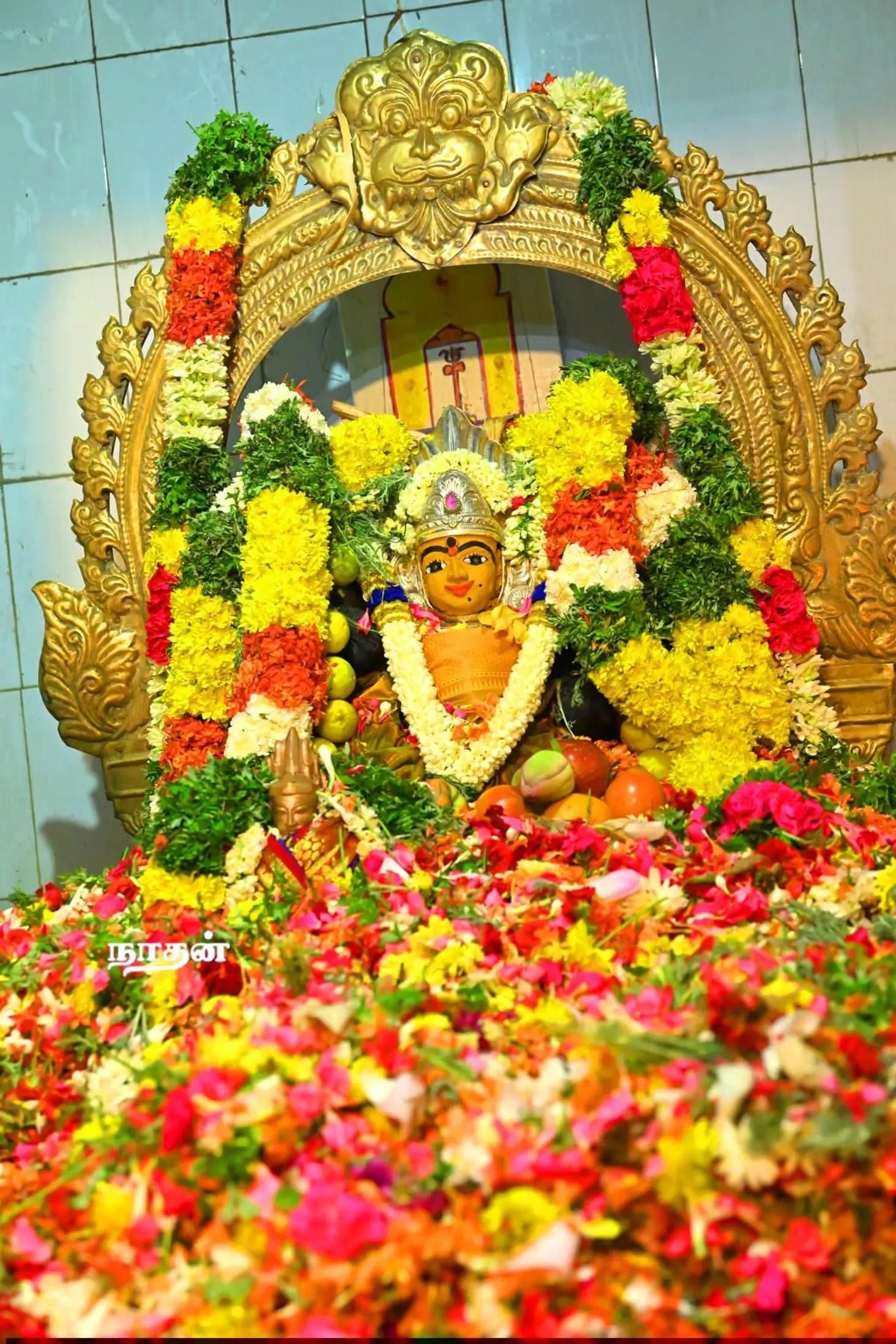 @ஓம் சற்குருவே சரணம்