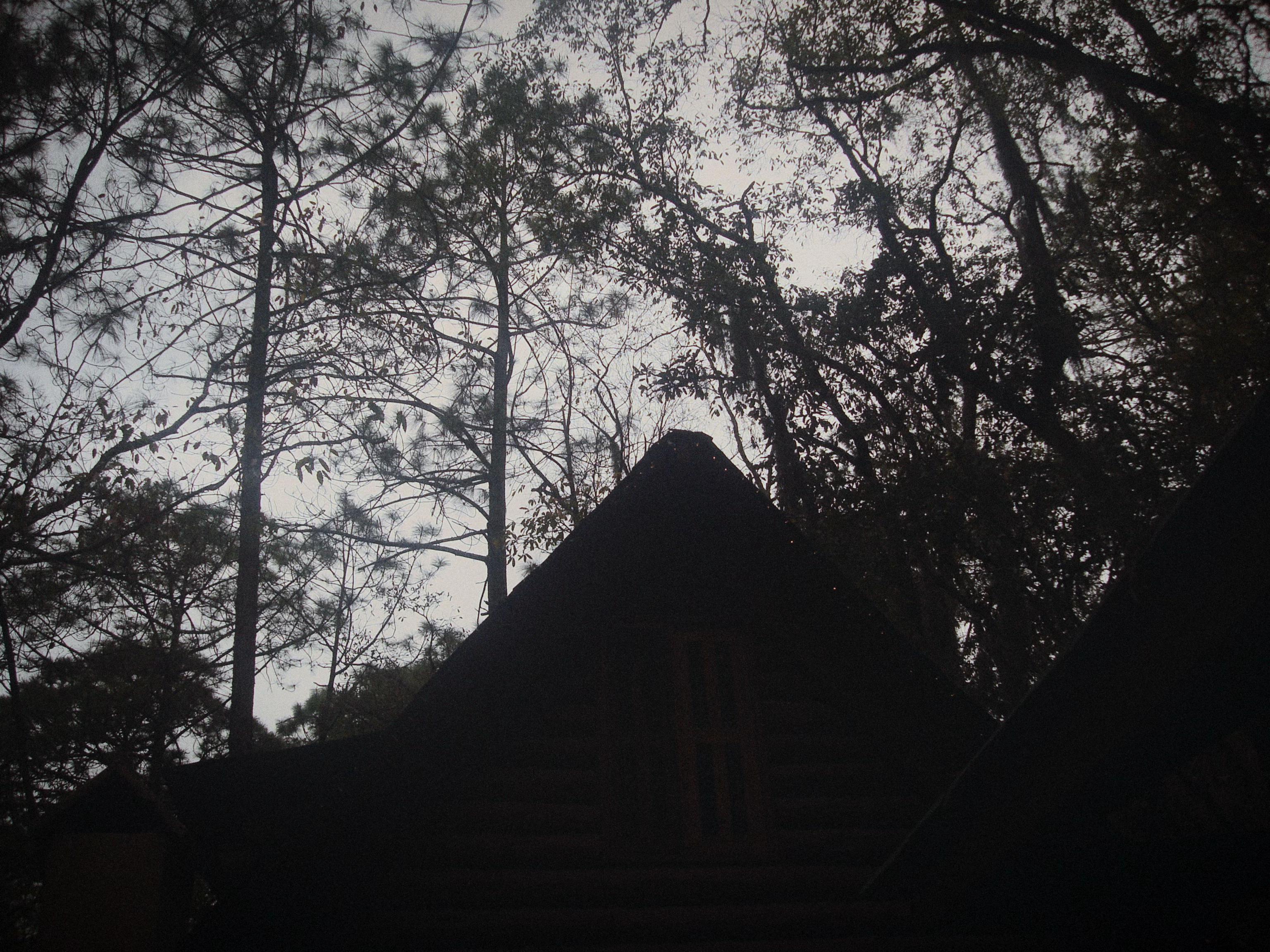 @ian.jpeg