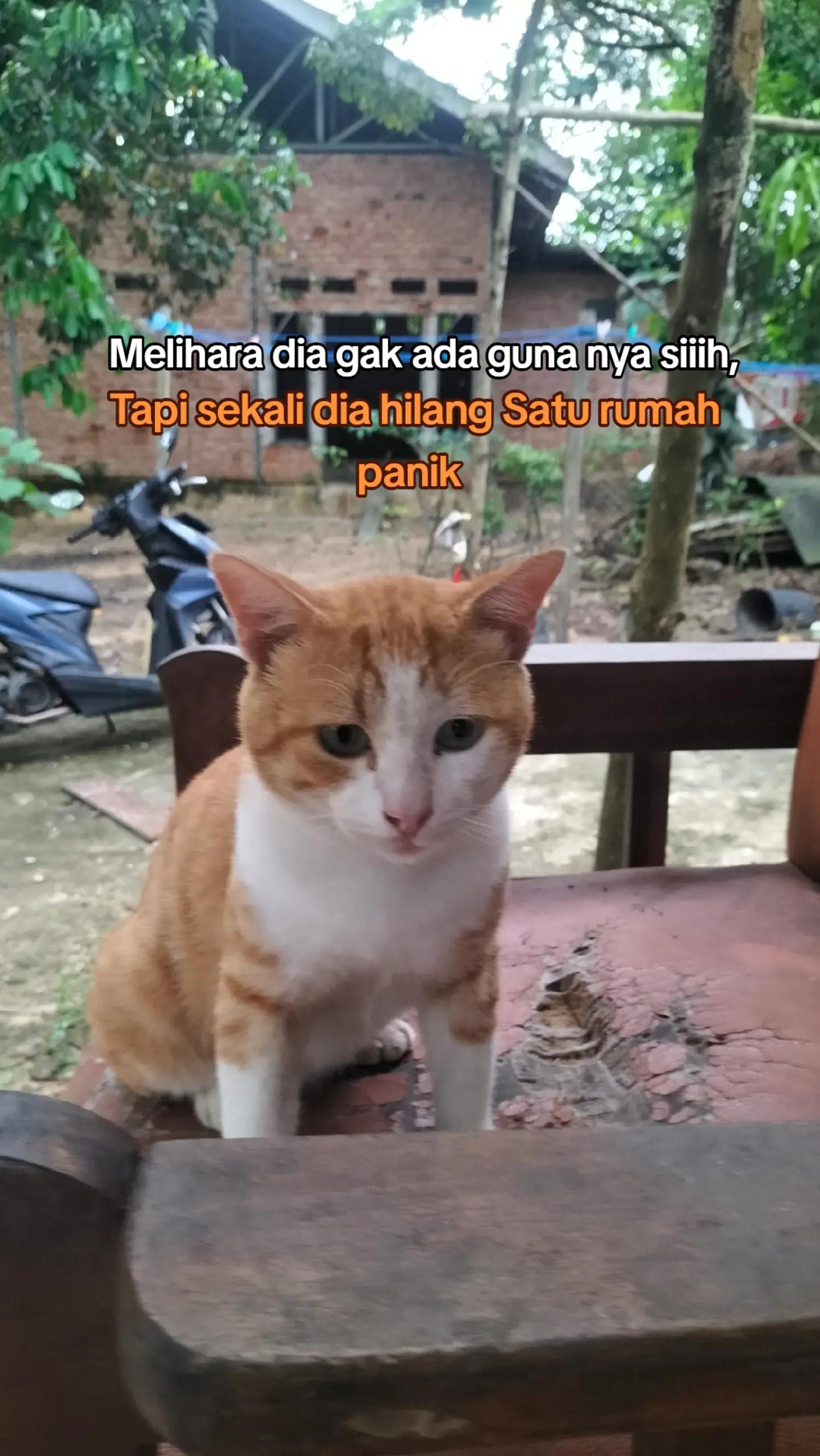 @BANG ARIE 99