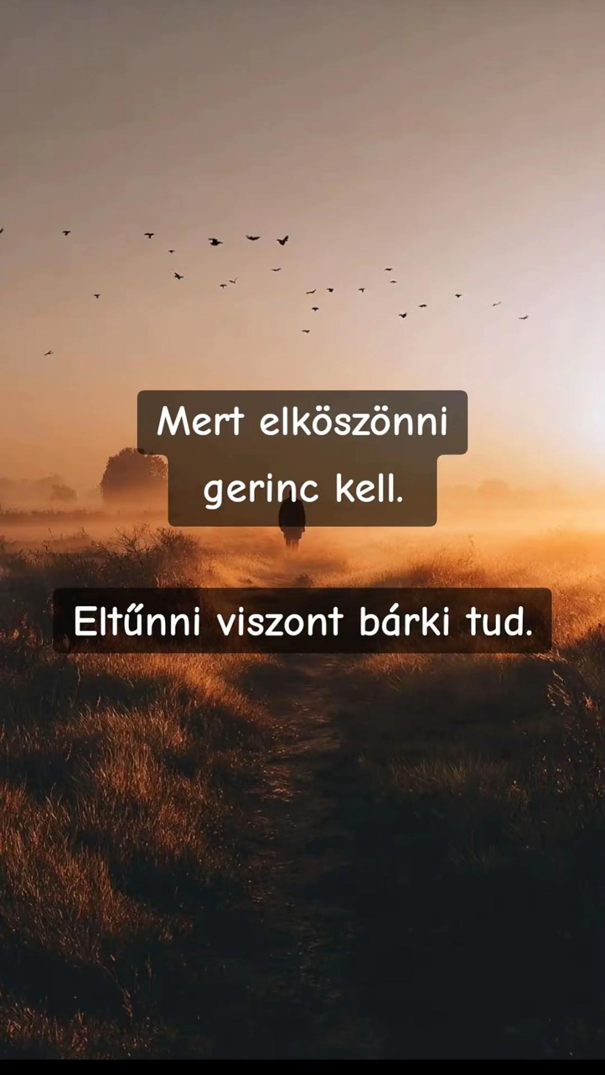 @•𝓐𝓶𝓲𝓬𝓪•
