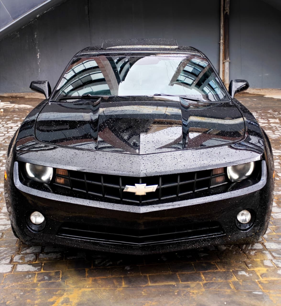 @CARDEALER