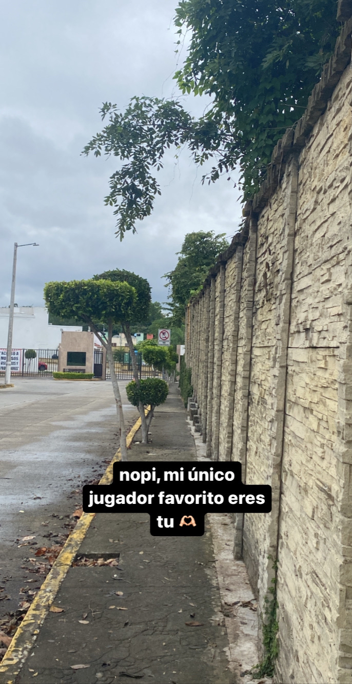 @ivannacamachooo