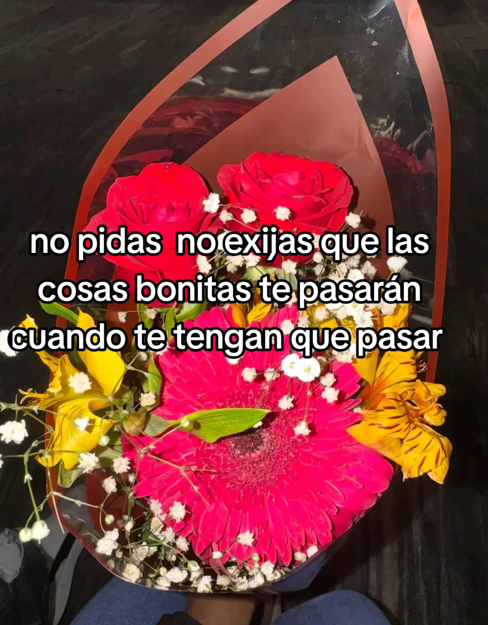@🩷Rous CQ 💕