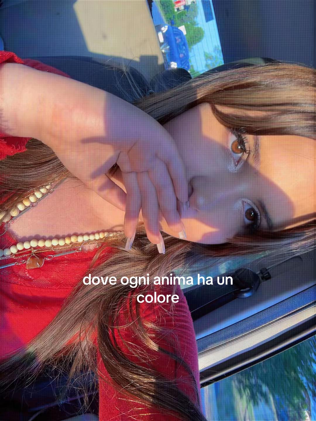 @🕷️🕸️