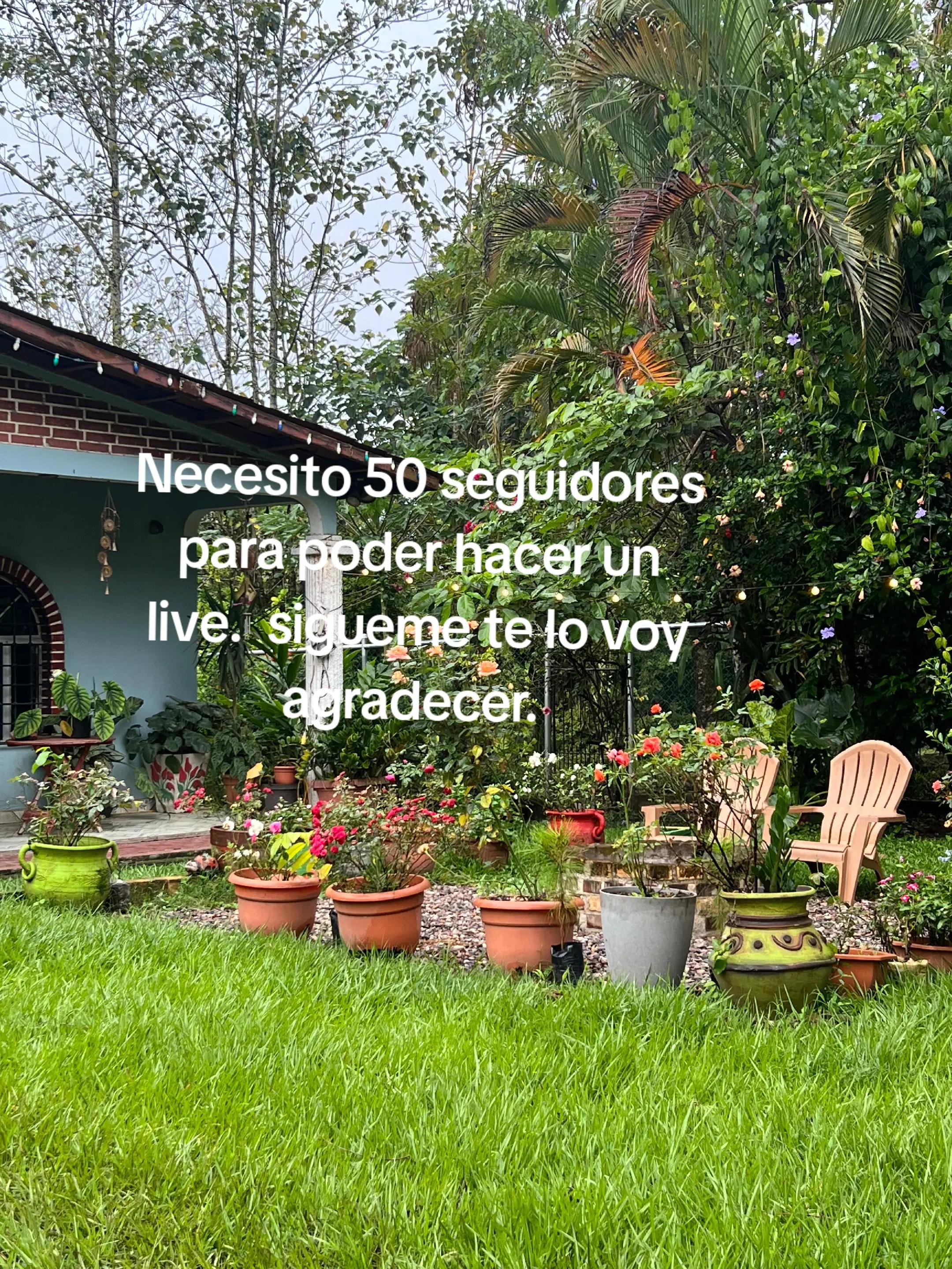 @Milagro ✈️🖥📲