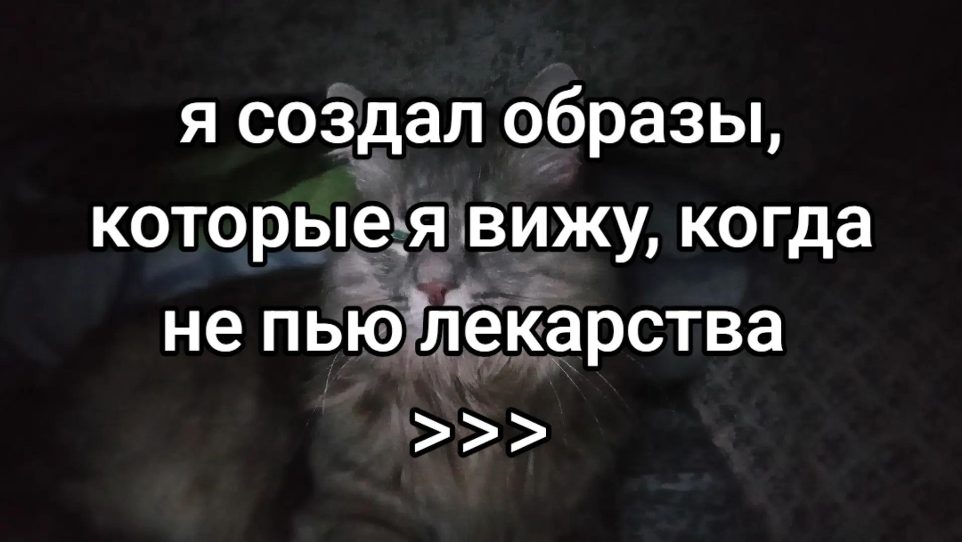 @curednotion