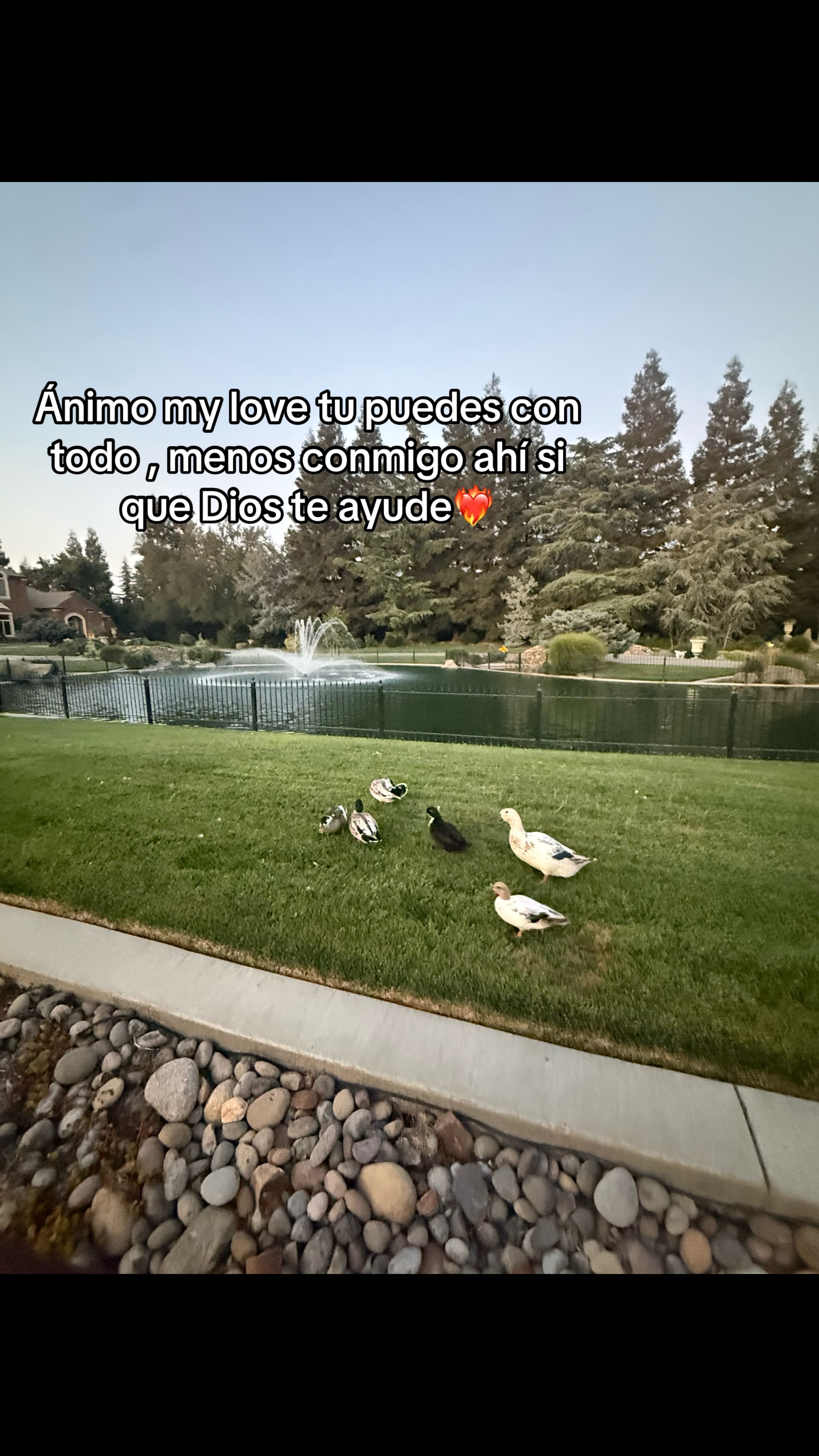 @💜😈🦥ᗩηηdι🍓🌻🧩♑︎