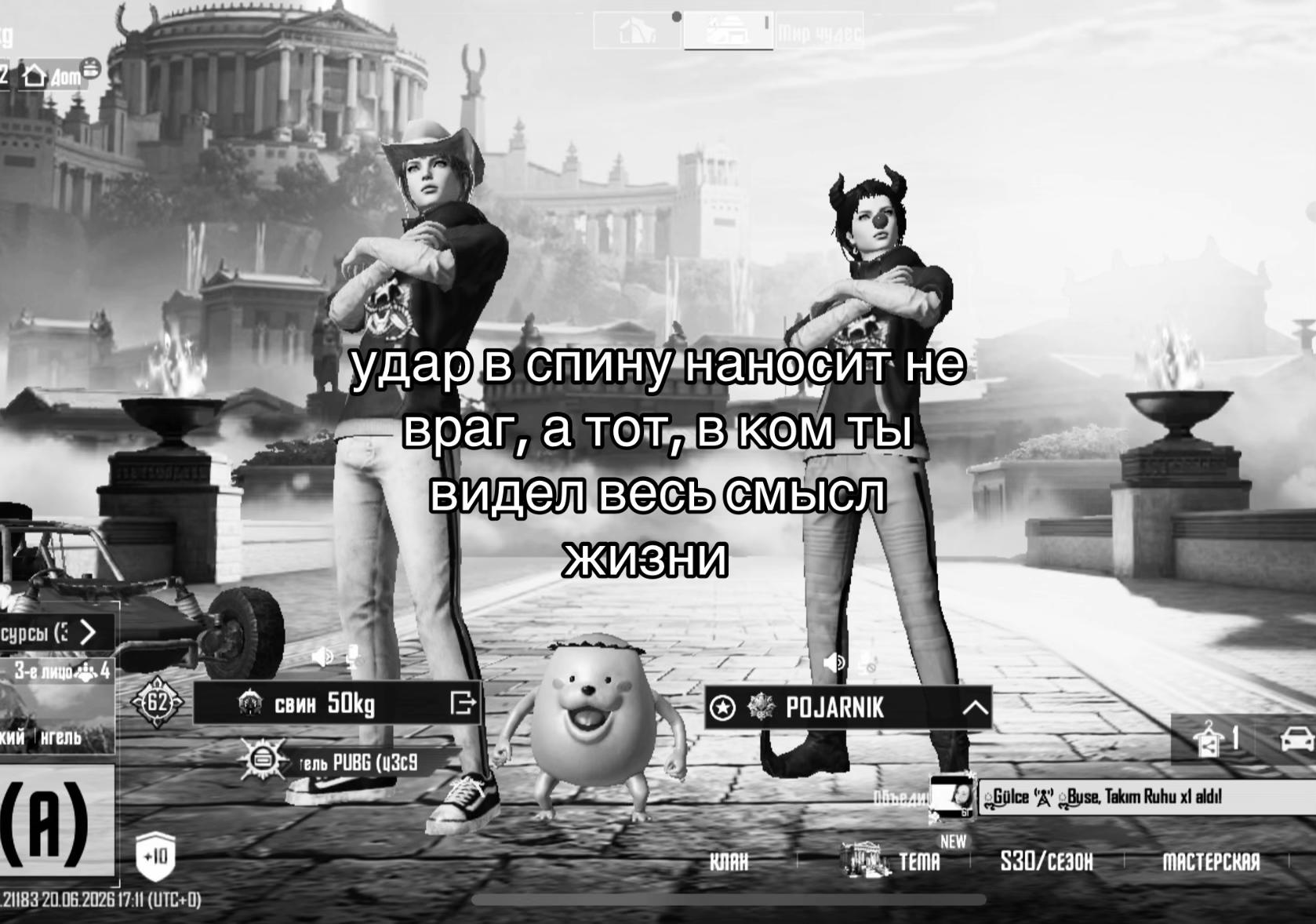 @свин