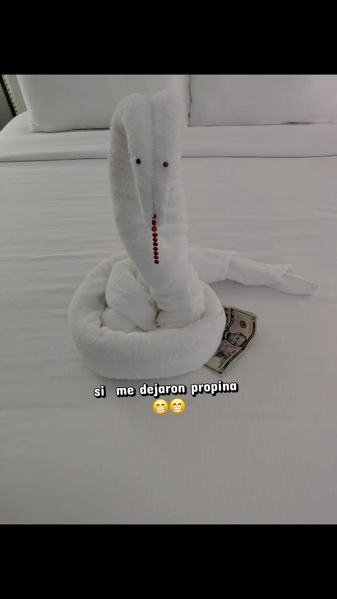 @ANYI