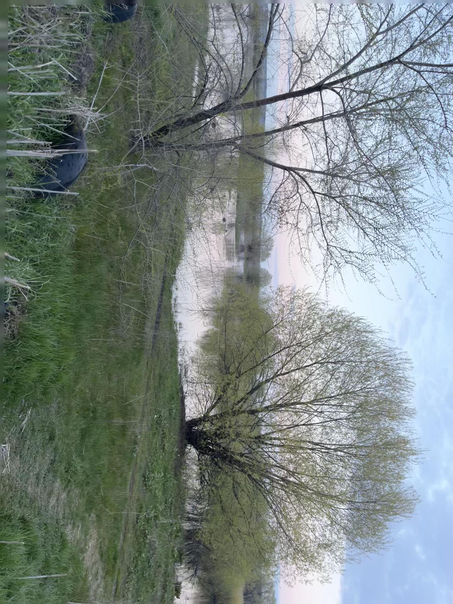 @вишня