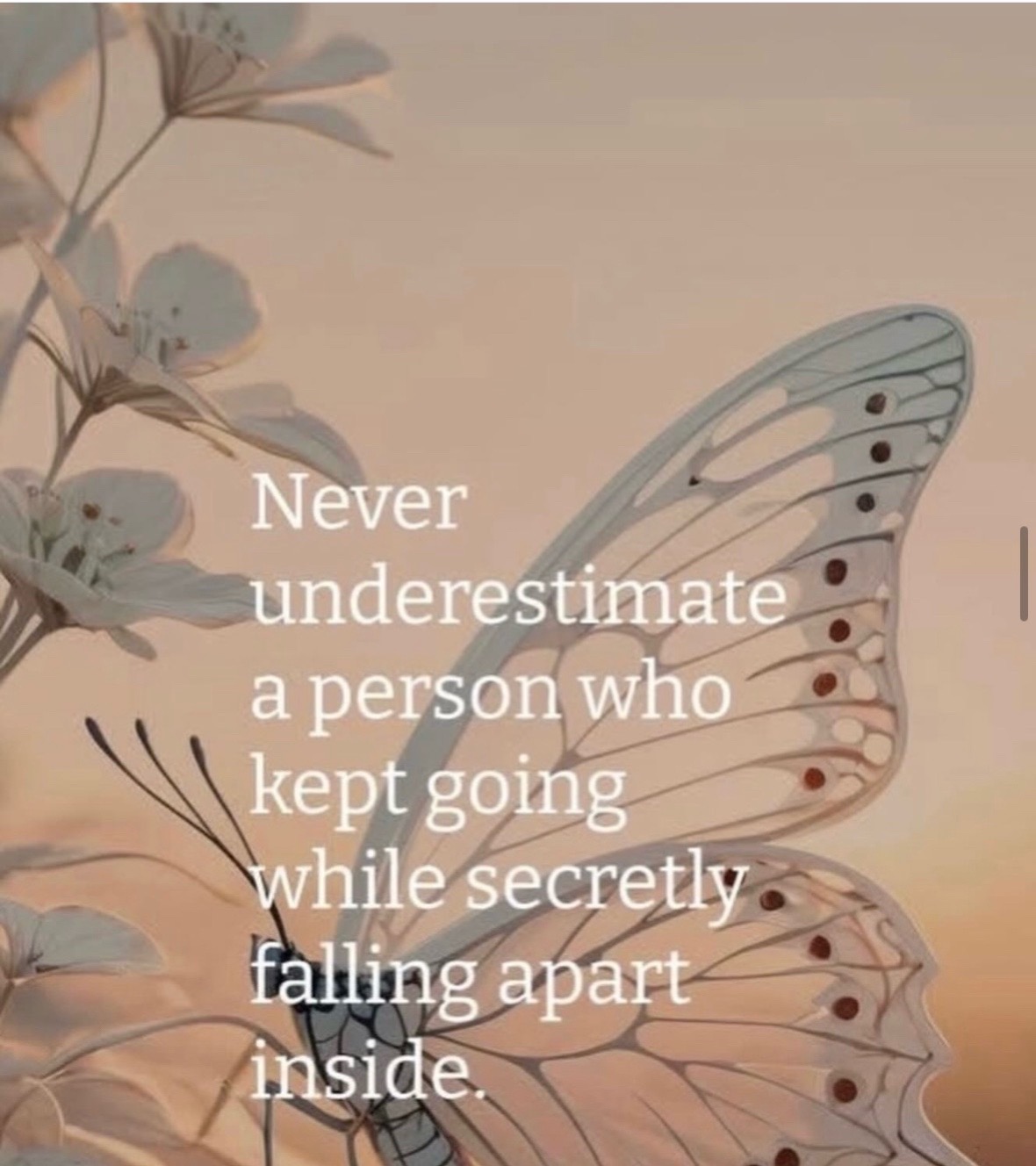 @mysteryladysmile1