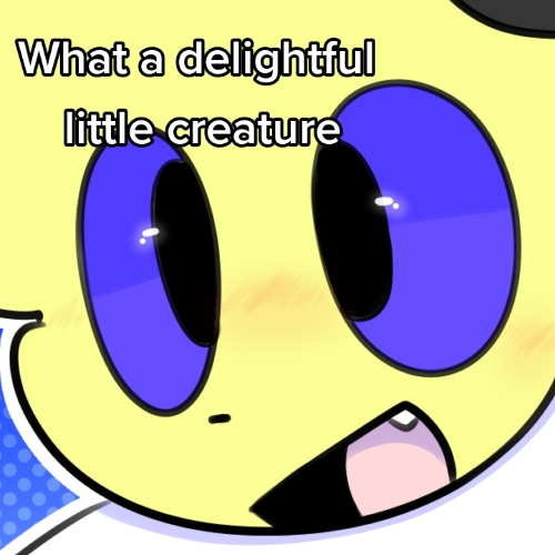 @Sky