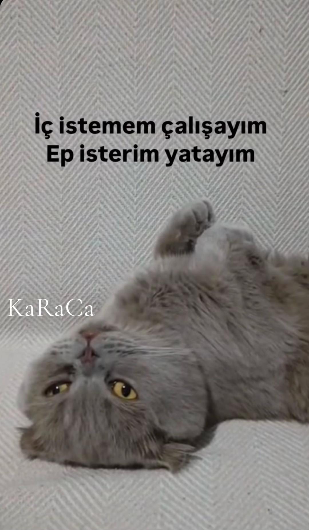 @KaRaCa