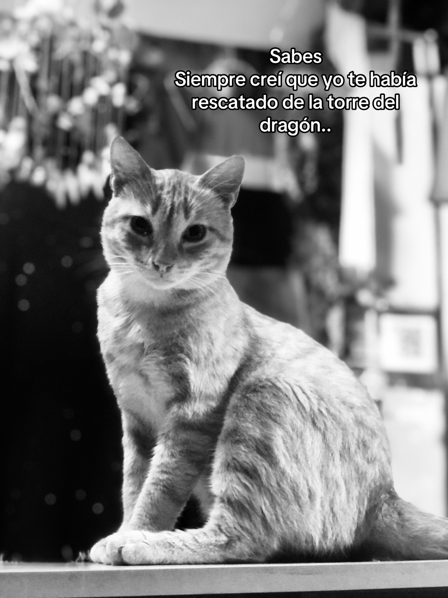 @𝓜𝓪𝓻𝔂-𝓰𝓪𝓲𝓫𝓸𝓻