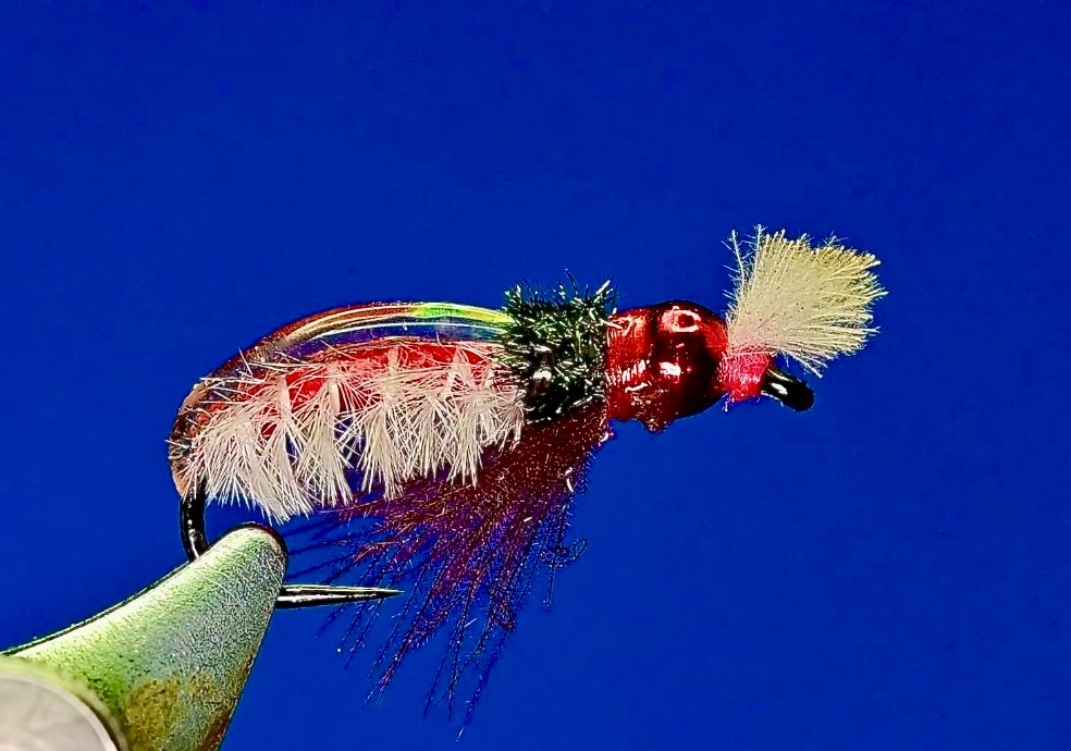 @redwhiteblueflies