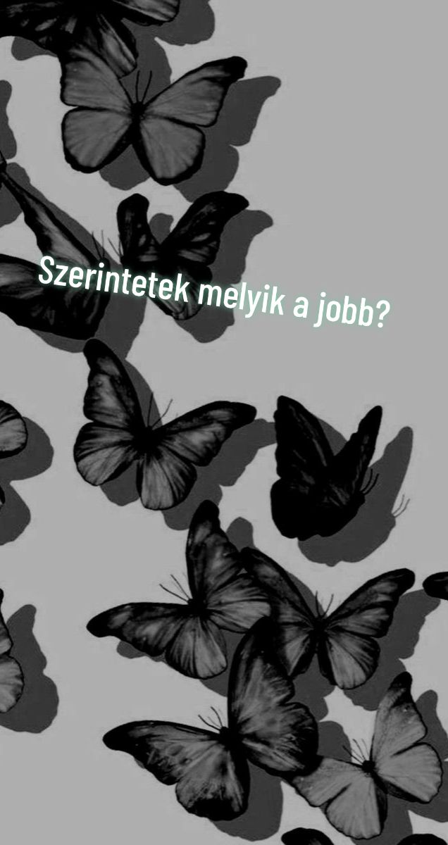 @hanna kis👑