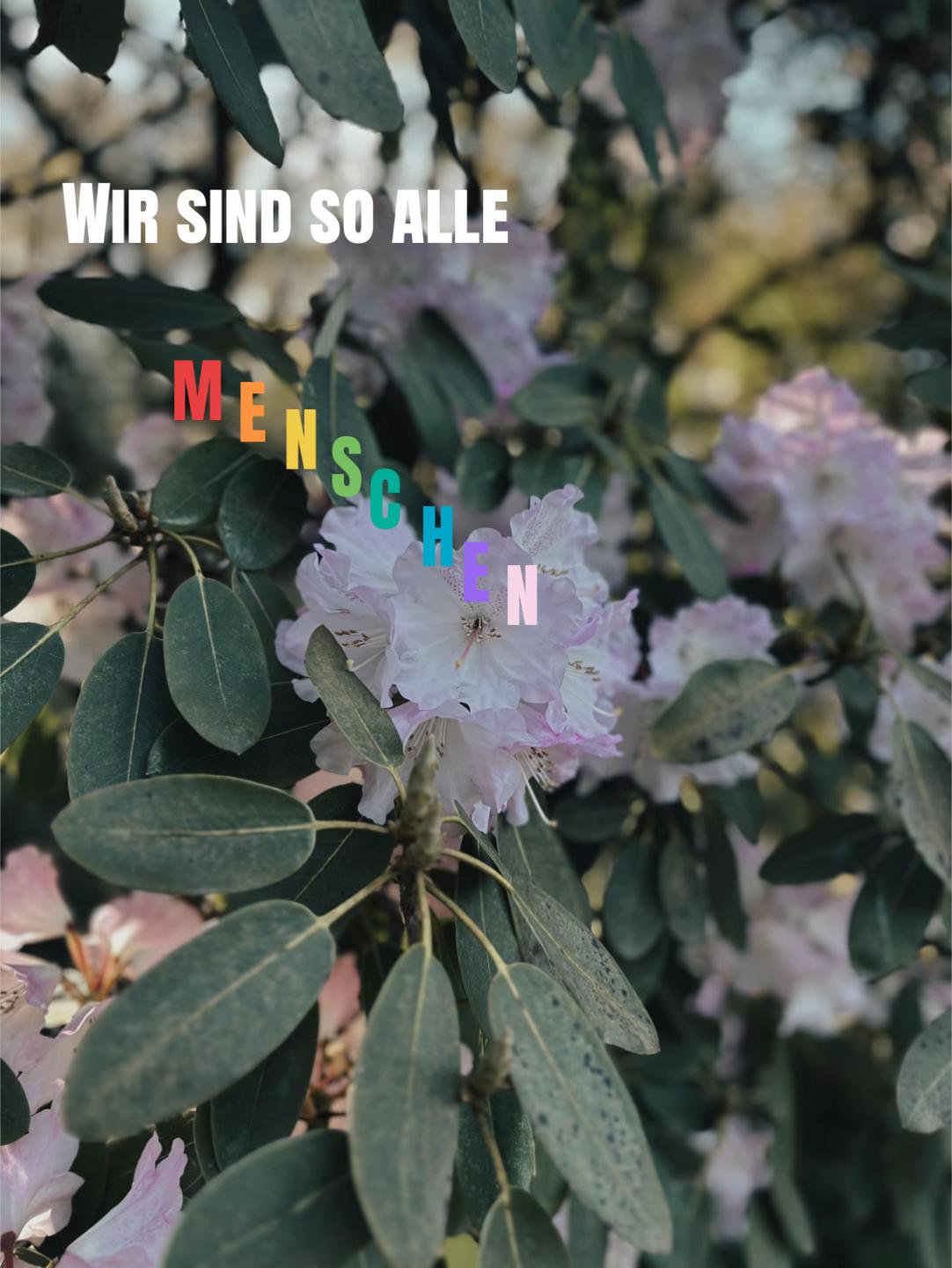 @unbekannt