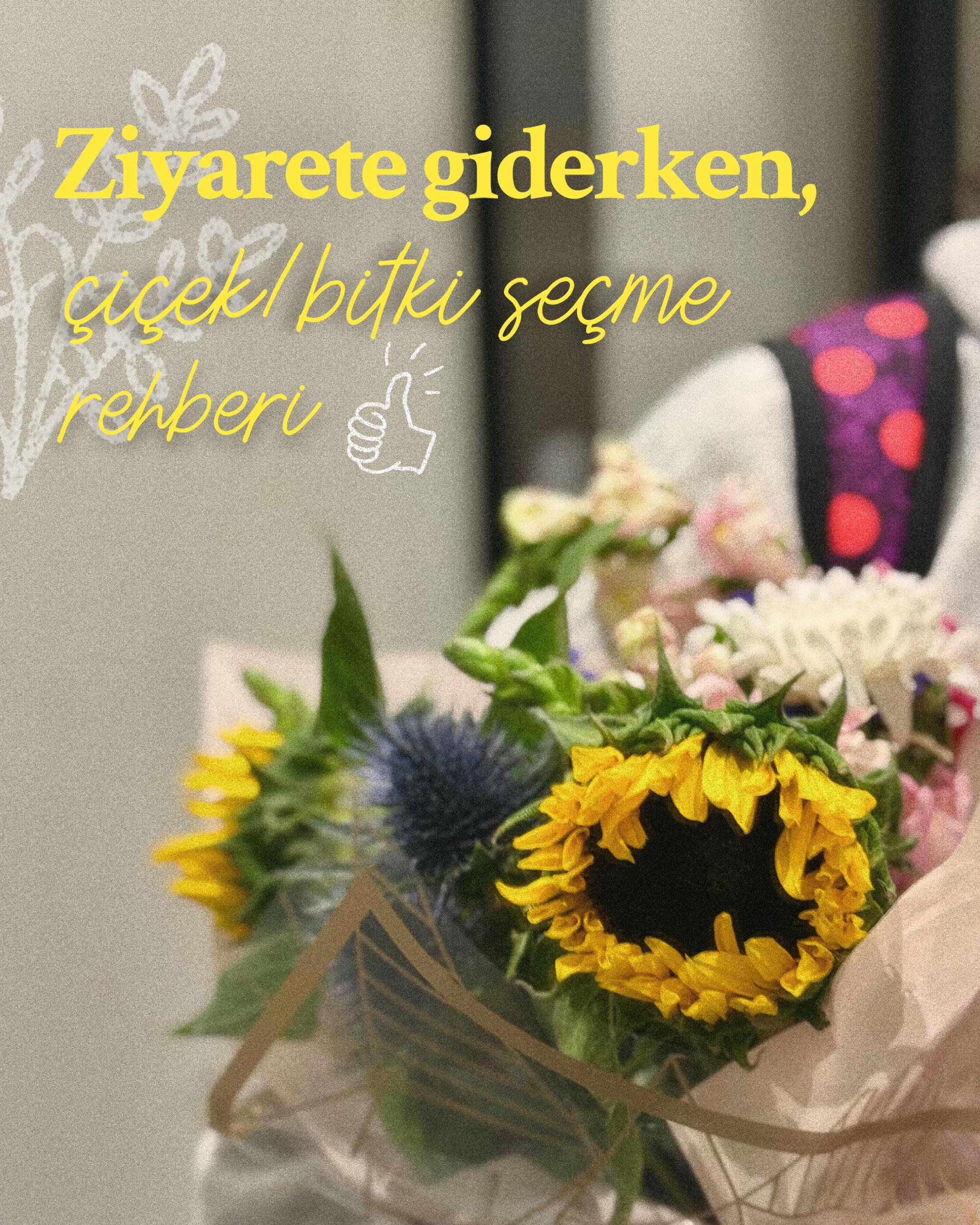 @Peyzaj Mimarı Buse 🍀