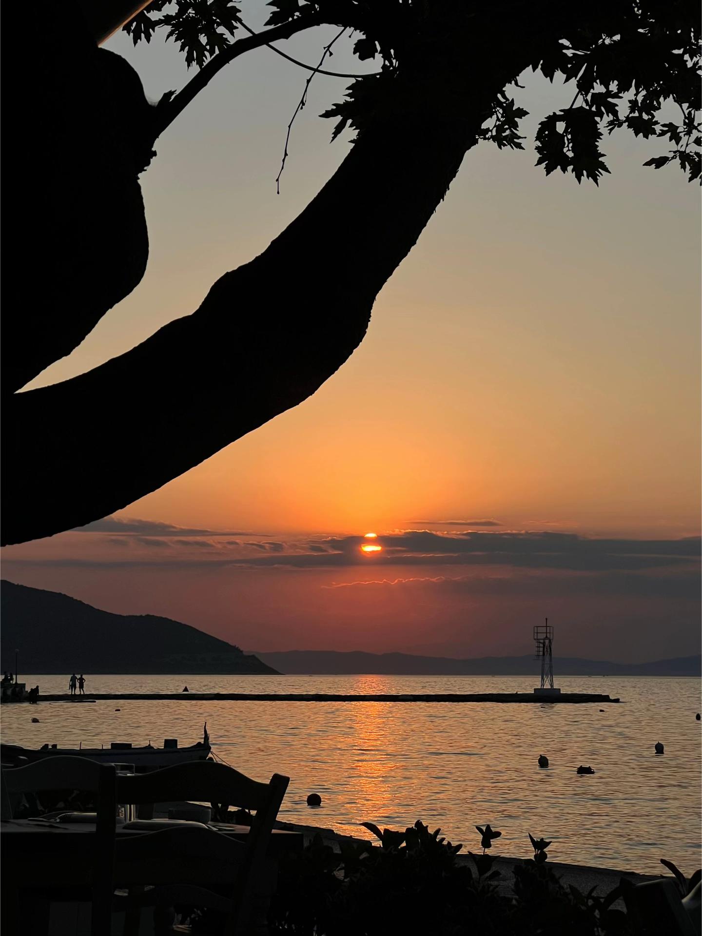 @Senem Canoğlu