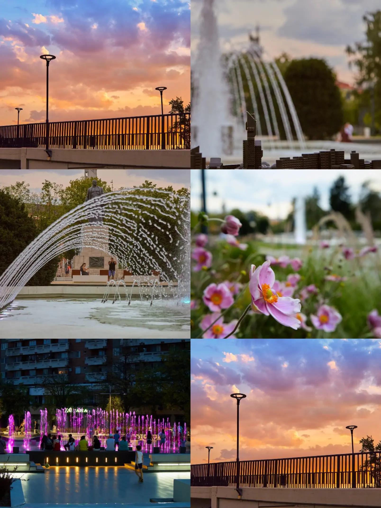 @Fotograf din pasiune 📷
