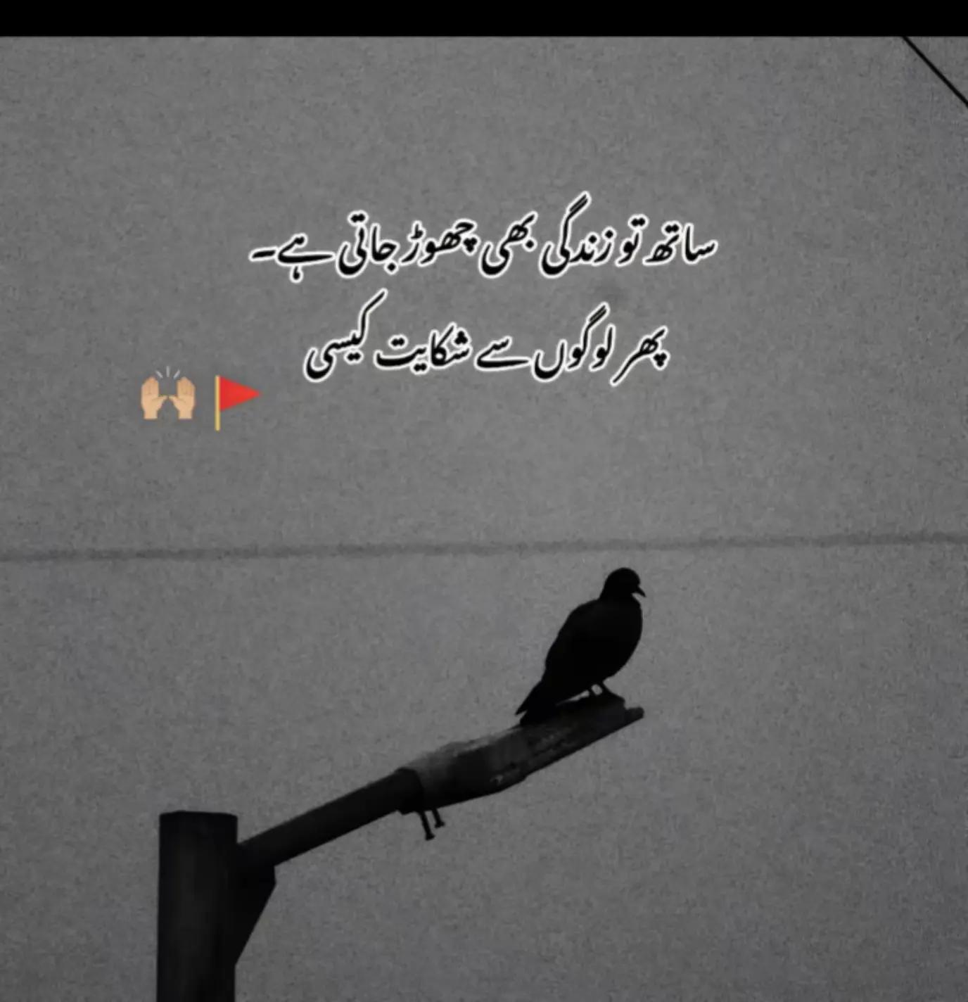 @USMAN Ali