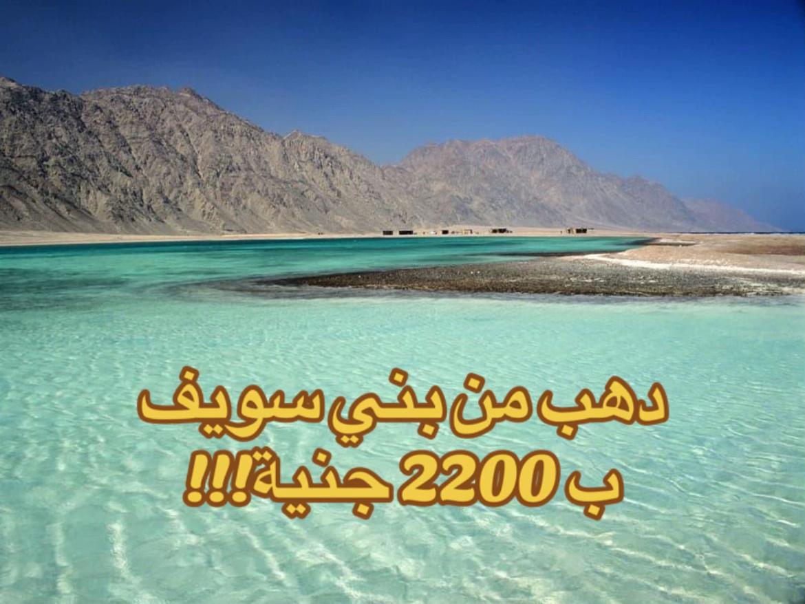 @ZM-TRAVEL🌊