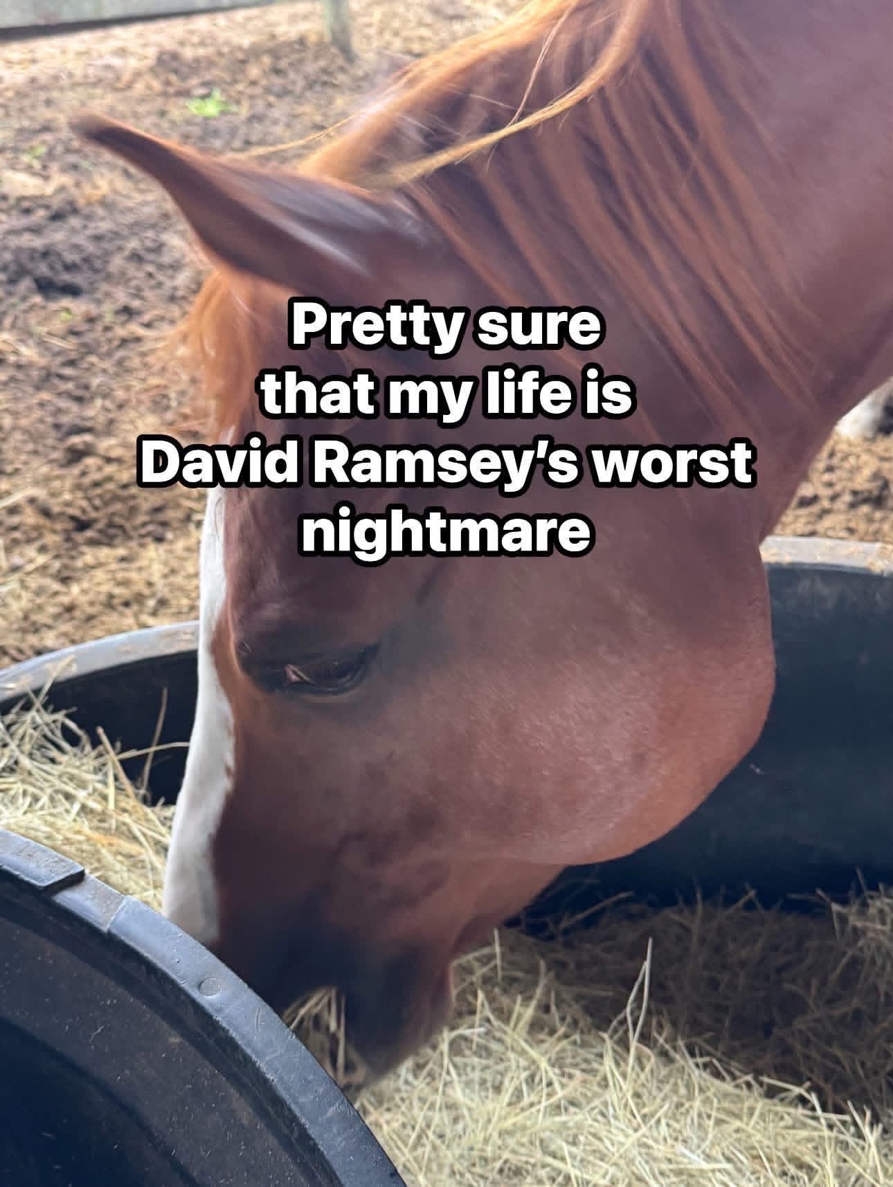 @Horselife