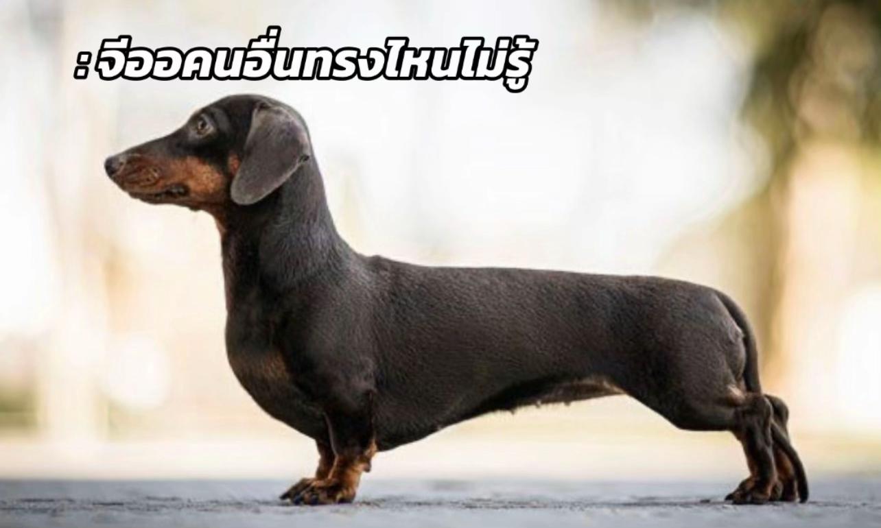 @ไม่รวย หรอกครับ🐯💙