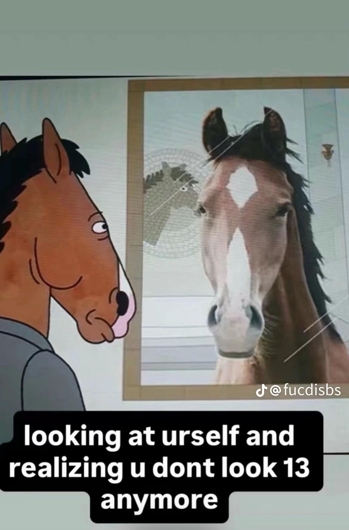 @Cat 💋🪩