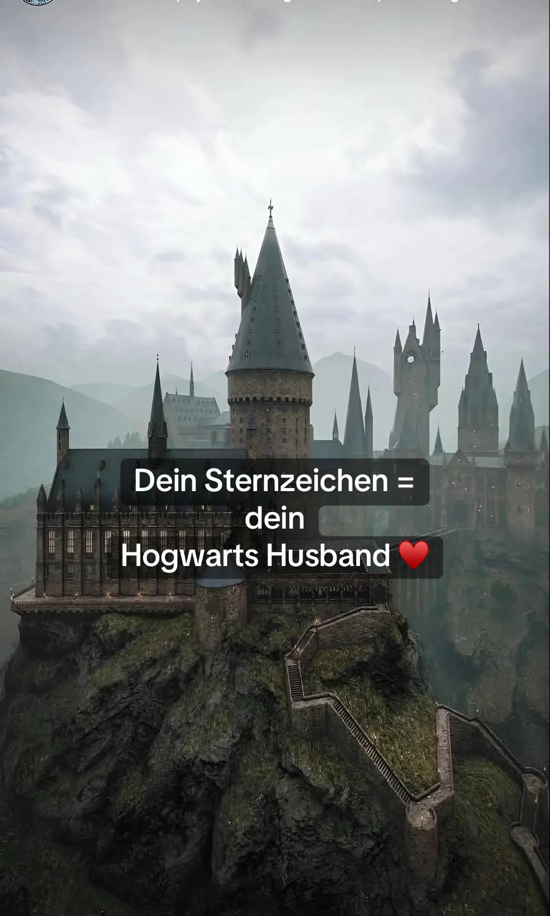 @Muggelgefl&uuml;ster